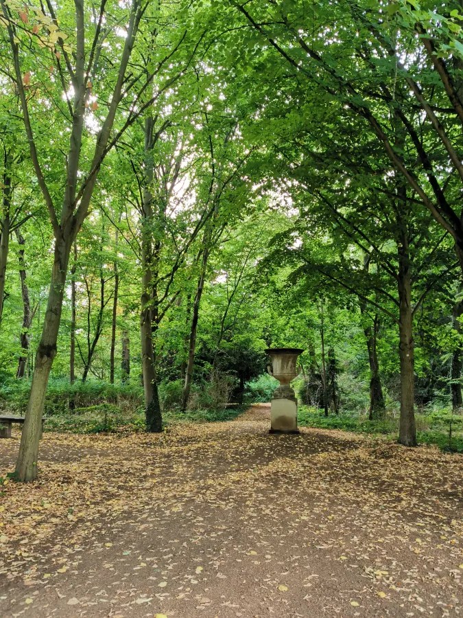 Ein schmaler Weg durch einen grünen Wald mit vielen Bäumen und herabgefallenen Blättern, in der Mitte steht ein antiker Gartenbehälter.