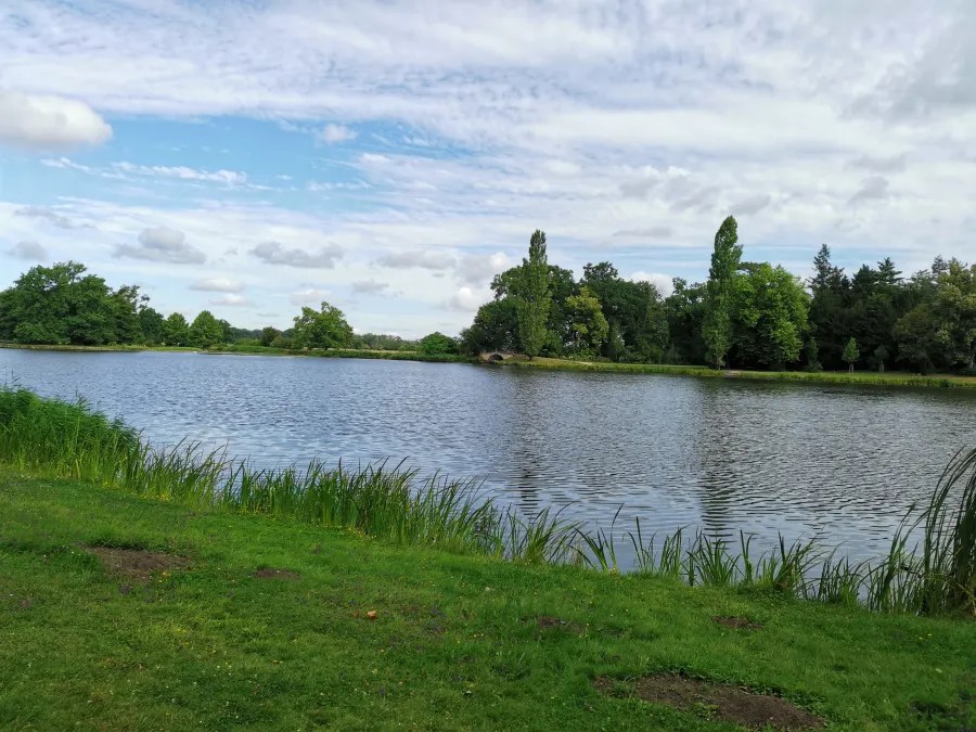 Ein ruhiger See umgeben von grünem Gras und Bäumen unter einem teilweise bewölkten Himmel.