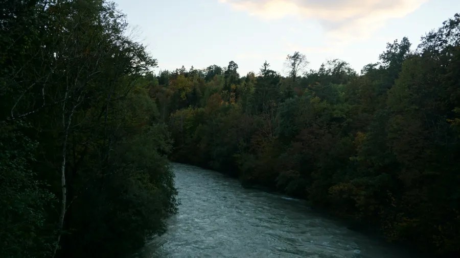 Ein ruhiger Fluss, der durch einen von Bäumen gesäumten Wald fließt, mit herbstlichen Farben und einem klaren Himmel im Hintergrund.