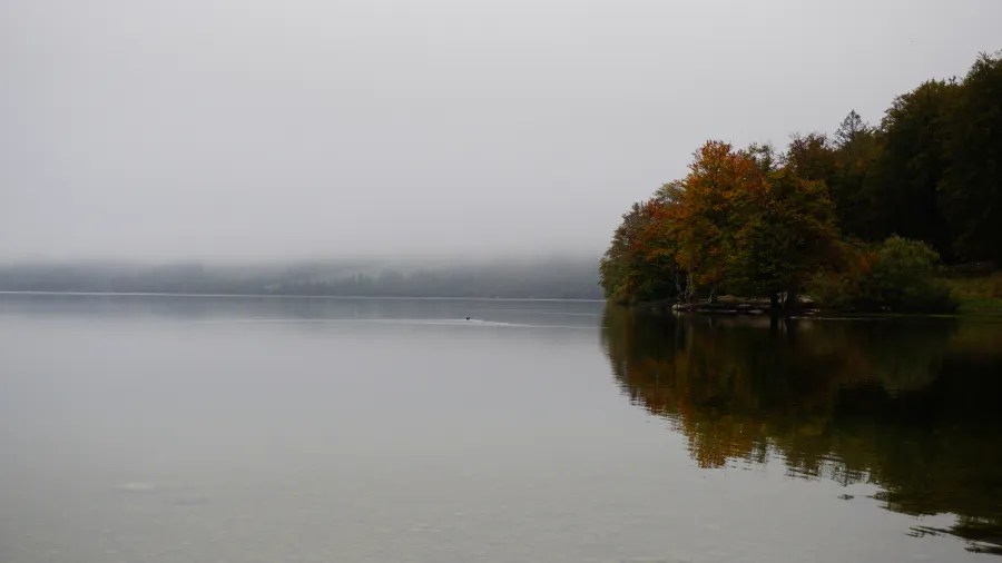 Ein ruhiger See mit nebeliger Umgebung und herbstlich gefärbten Bäumen am Ufer.