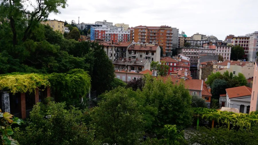 Blick auf eine städtische Landschaft mit bunten Gebäuden und viel Grün im Vordergrund.