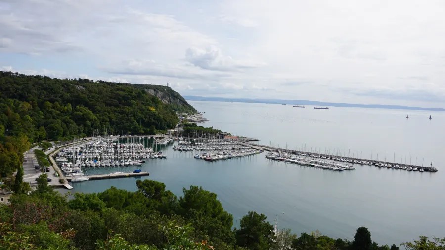Panoramaansicht eines Yachthafens mit vielen Booten, umgeben von grünen Bäumen und einem ruhigen Wasserweg unter einem bewölkten Himmel.