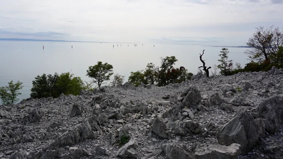 Blick auf einen steinigen Uferbereich am Wasser mit Booten im Hintergrund und bewaldeten Bereichen im Vordergrund.
