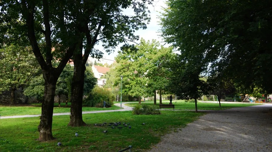 Ein städtischer Park mit grünen Bäumen, Wegen und Bänken. Am Boden sind einige Tauben zu sehen.