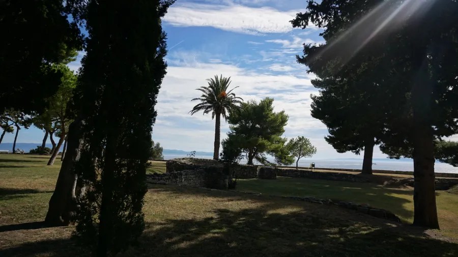 Ancient stone ruins and a palm tree overlooking the sea in a sunny park