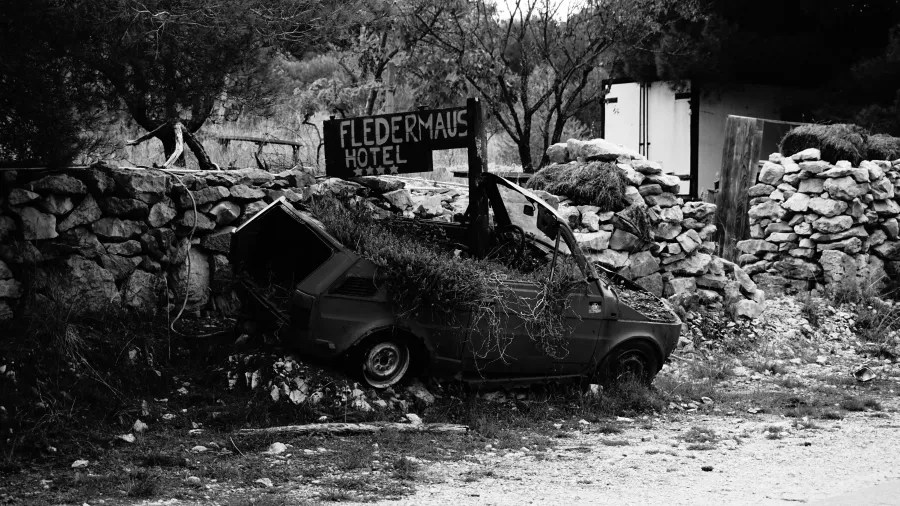 Abandoned car overgrown with plants and a sign reading 'FLEDERMAUS HOTEL' with four stars.