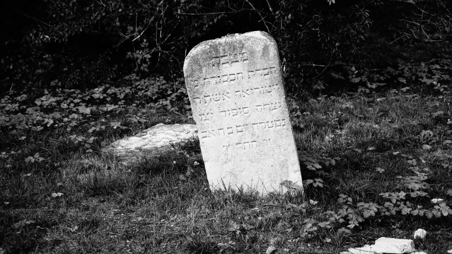 Weathered Jewish gravestone with Hebrew inscriptions standing in an overgrown, grassy field.