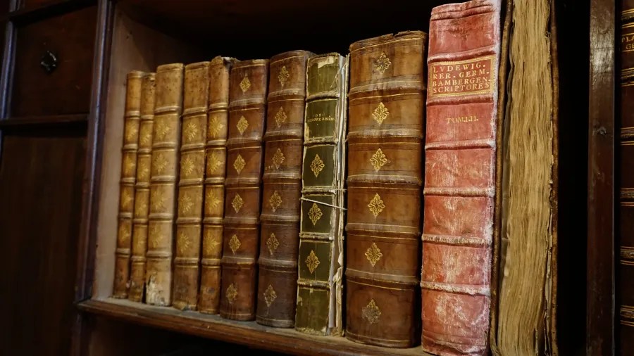 Antique leather-bound books on a shelf, including a red volume titled LVDEWIG. RER. GERM. BAMBERGEN. SCRIPTORES TOM.III.