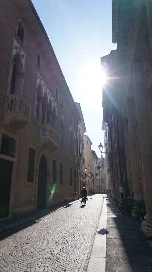People cycling and walking on a narrow sunlit street lined with historic European buildings