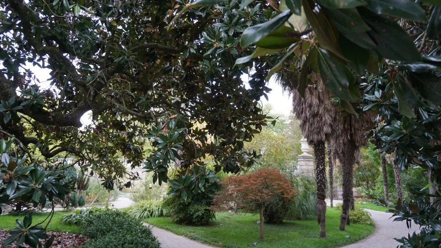 Winding gravel paths through a lush garden with diverse trees including magnolias and palms.