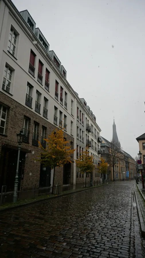 Wet cobblestone street with autumn trees leading towards a distant church spire.