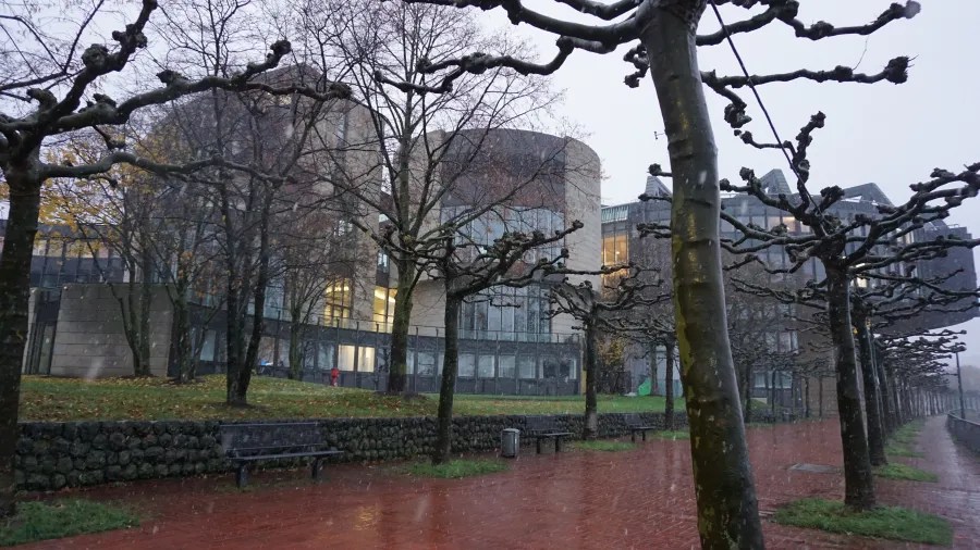 Modern stone building behind bare pollarded trees along a wet walkway on a rainy day
