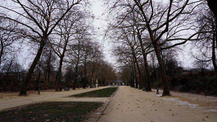 Bare trees lining a wide sandy path in a park leading toward a distant building.