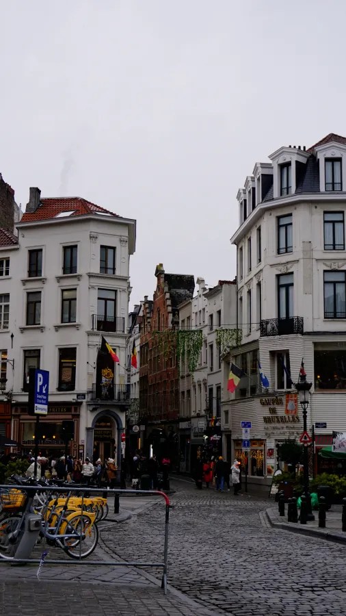 A narrow cobblestone street in Brussels lined with historic buildings and Belgian flags.