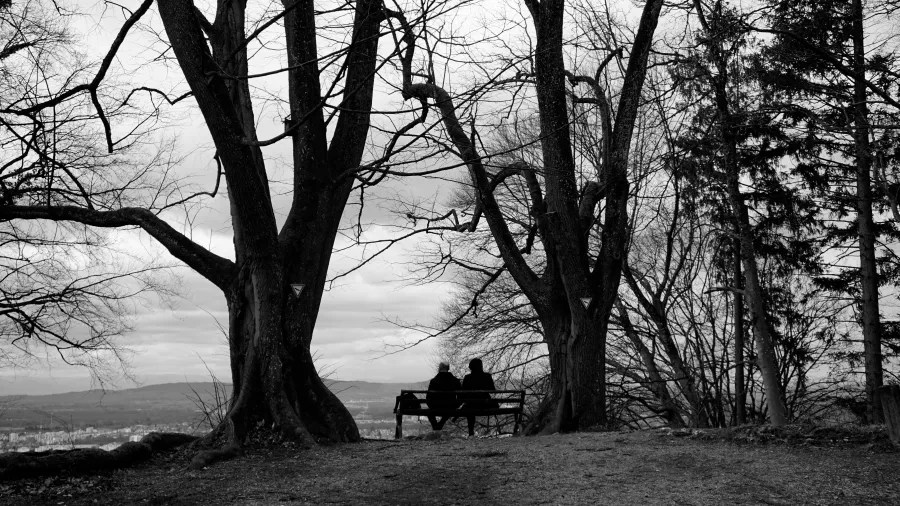Two people sit on a bench between large bare trees overlooking a distant valley.