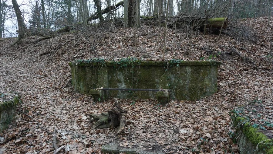 Moss-covered stone structure in a forest with ground covered in dry autumn leaves.