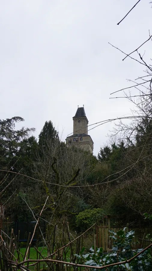 20230319_Deutschland_Hessen_3-Burgen-Weg (49) A tall stone tower rising above dense trees under an overcast sky.