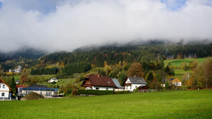 Rural houses and green fields below a forested mountain shrouded in low clouds.