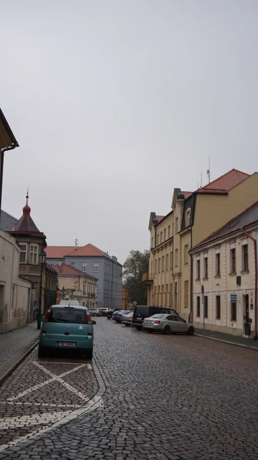 Cobblestone street with parked cars and multi-story buildings under an overcast sky