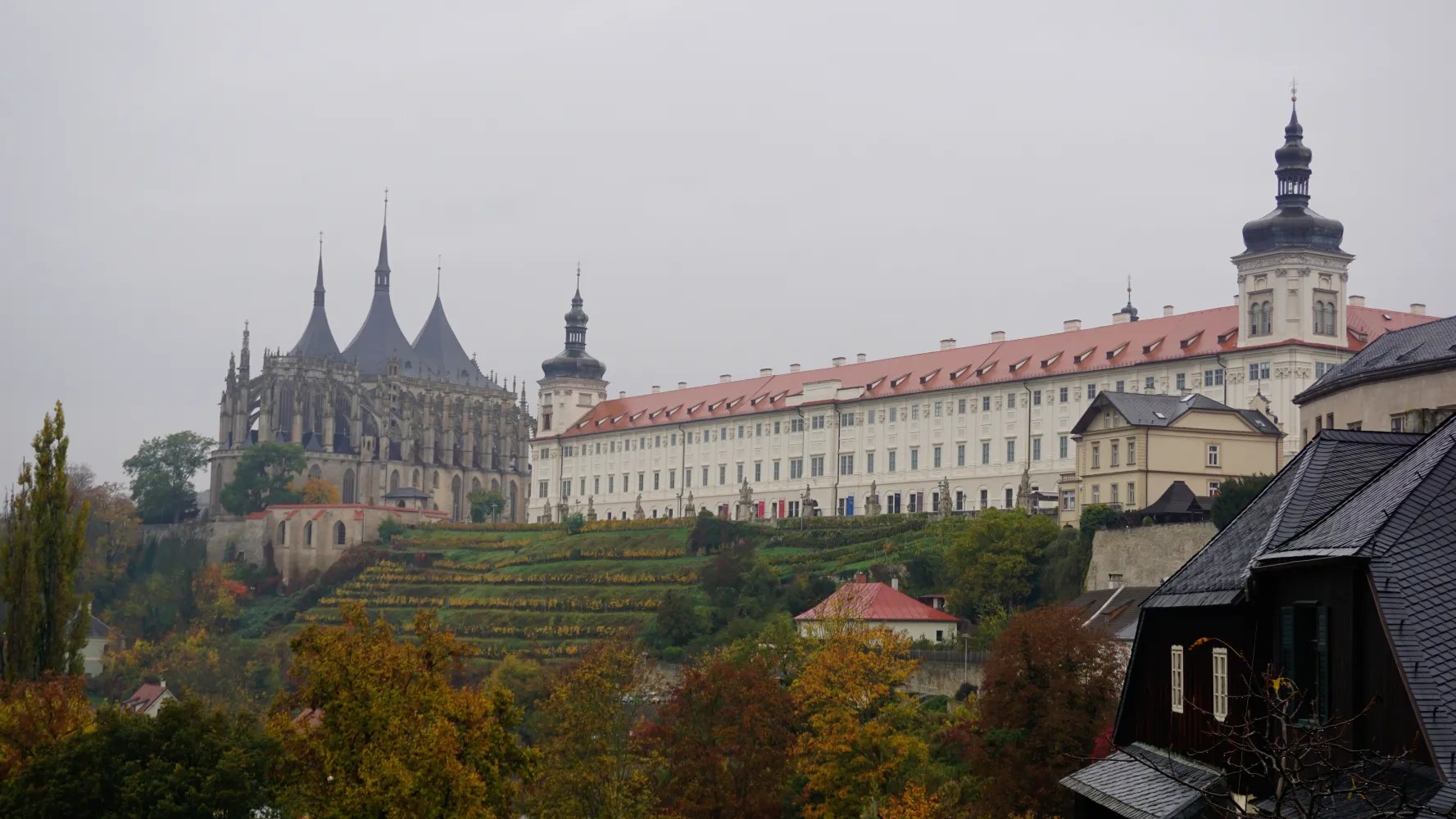 Gothic cathedral and long white historical building overlooking terraced vineyards on a misty autumn day.