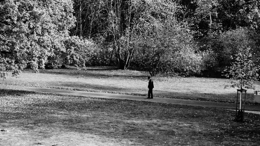20221023_1_Tschechien_Marienbad (10) A person walks along a path in a park surrounded by dense trees.