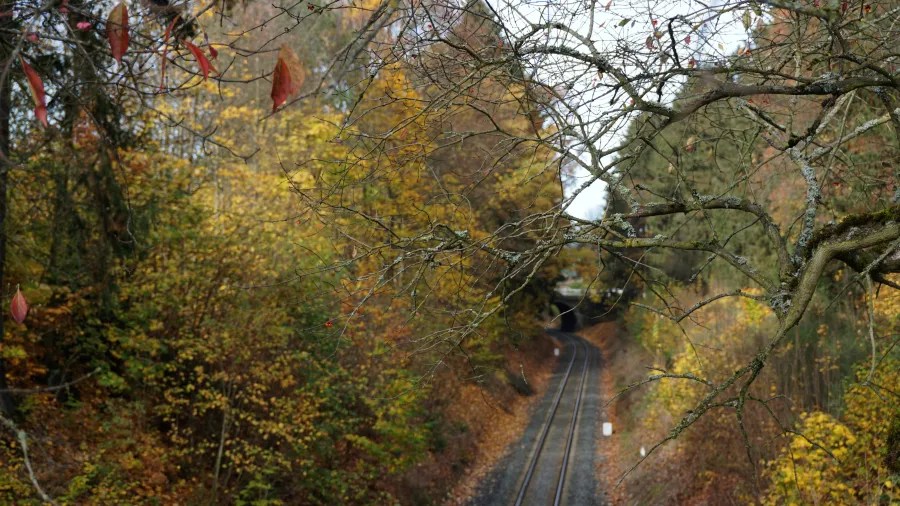 20221023_1_Tschechien_Marienbad (2) Curving railway tracks through a forest with yellow autumn leaves and a distant tunnel.