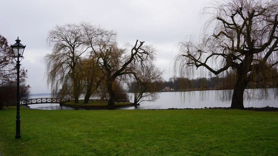 Bare weeping willow trees and a wooden bridge by a calm lake on an overcast day