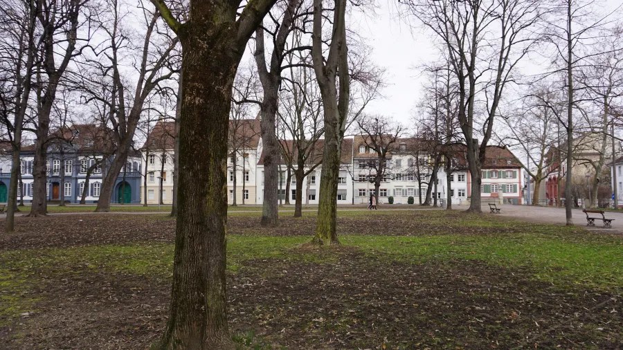 Public park square with bare trees and historic European-style buildings under an overcast sky.