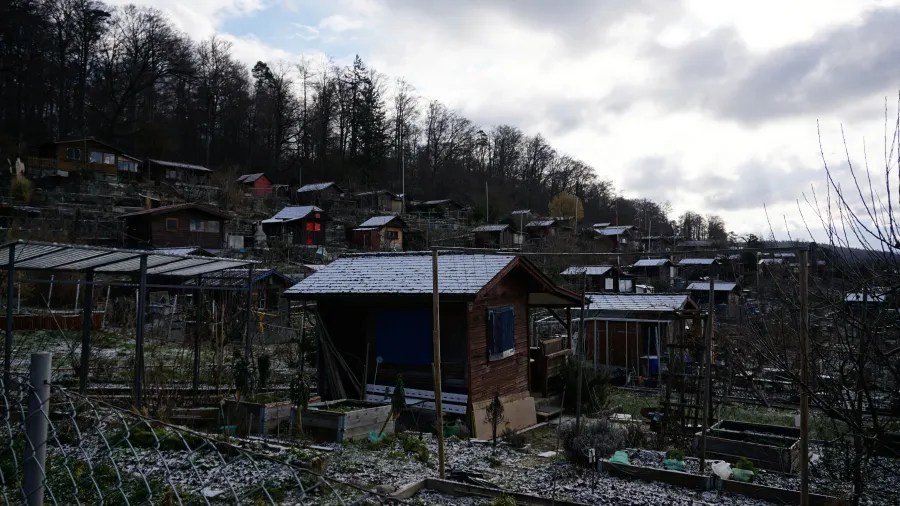 Small wooden garden sheds on a hillside with a light dusting of snow.