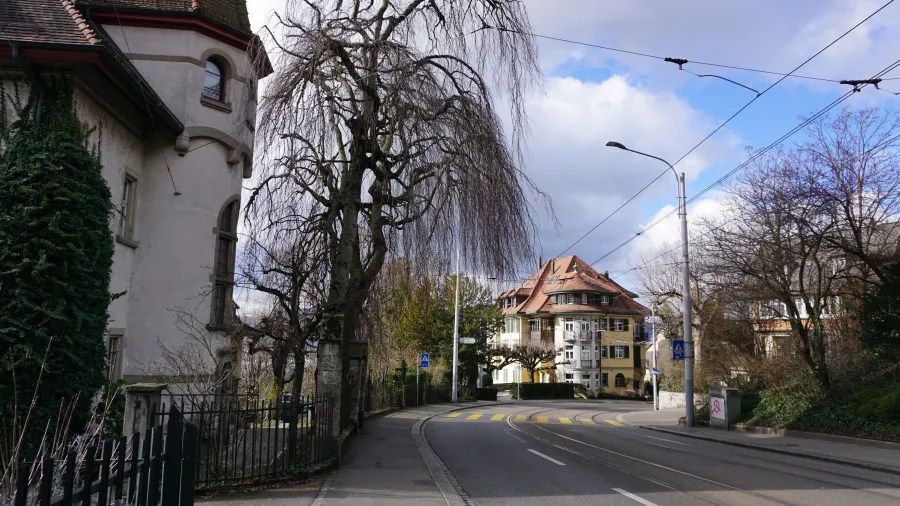 Historic European street with tram tracks curving past multi-story buildings and tall trees.