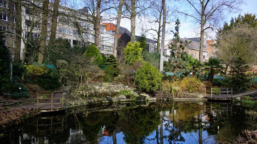 Garden pond reflecting trees and buildings, with wooden walkways and lush greenery.