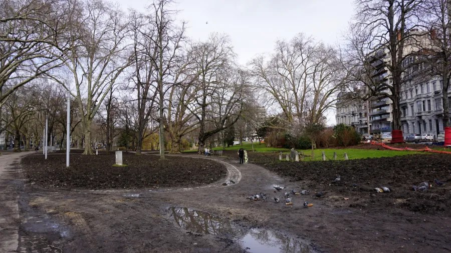 A park with bare trees, muddy ground, puddles, and pigeons under an overcast sky.