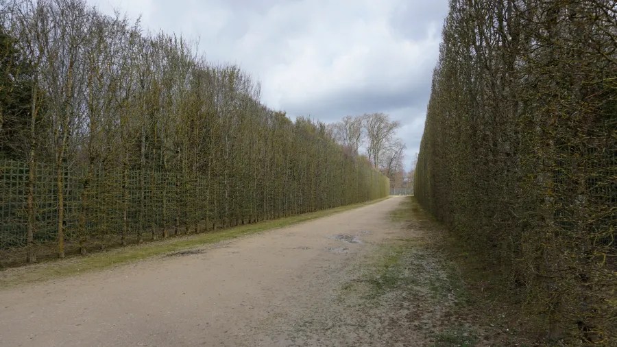 20230325_Frankreich_Paris (35) A wide dirt path bordered by tall, neatly trimmed hedges under a cloudy sky