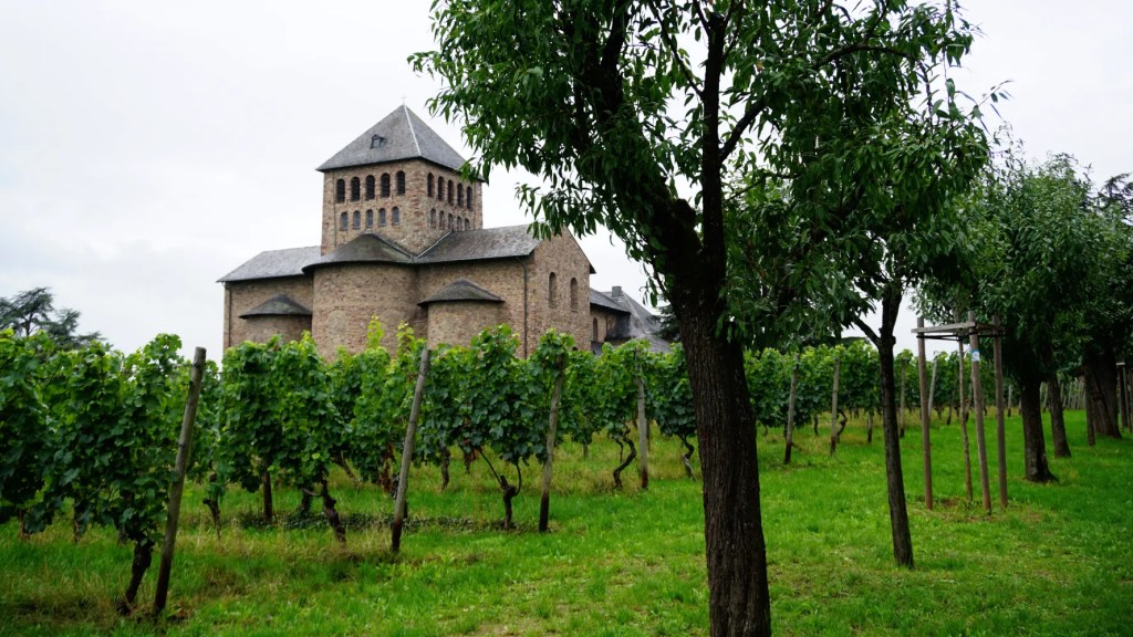 Impressionen vom Rheingauer&nbsp;Klostersteig