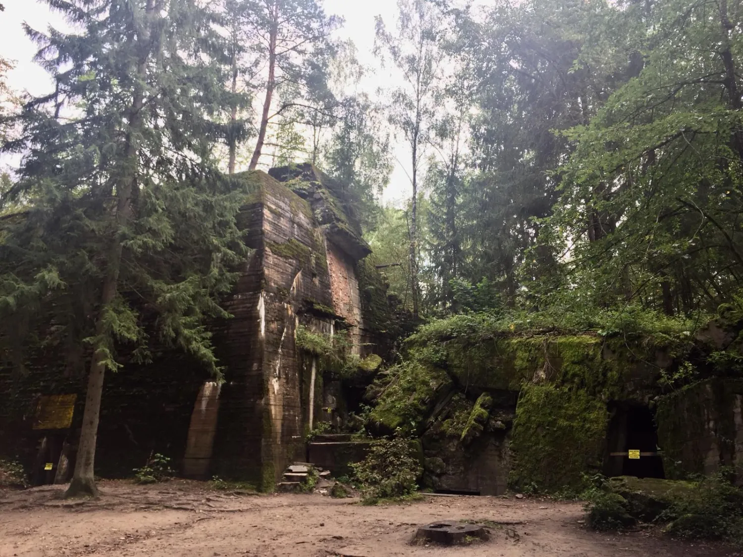 Moss-covered concrete bunker entrance surrounded by dense forest trees