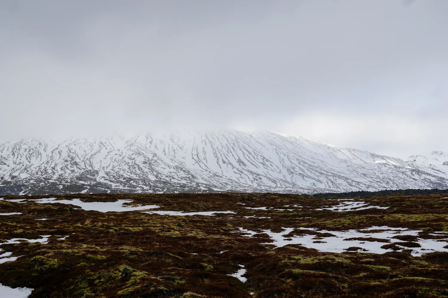 Einzigartige Erlebnisse auf der Snæfellsnes-Halbinsel