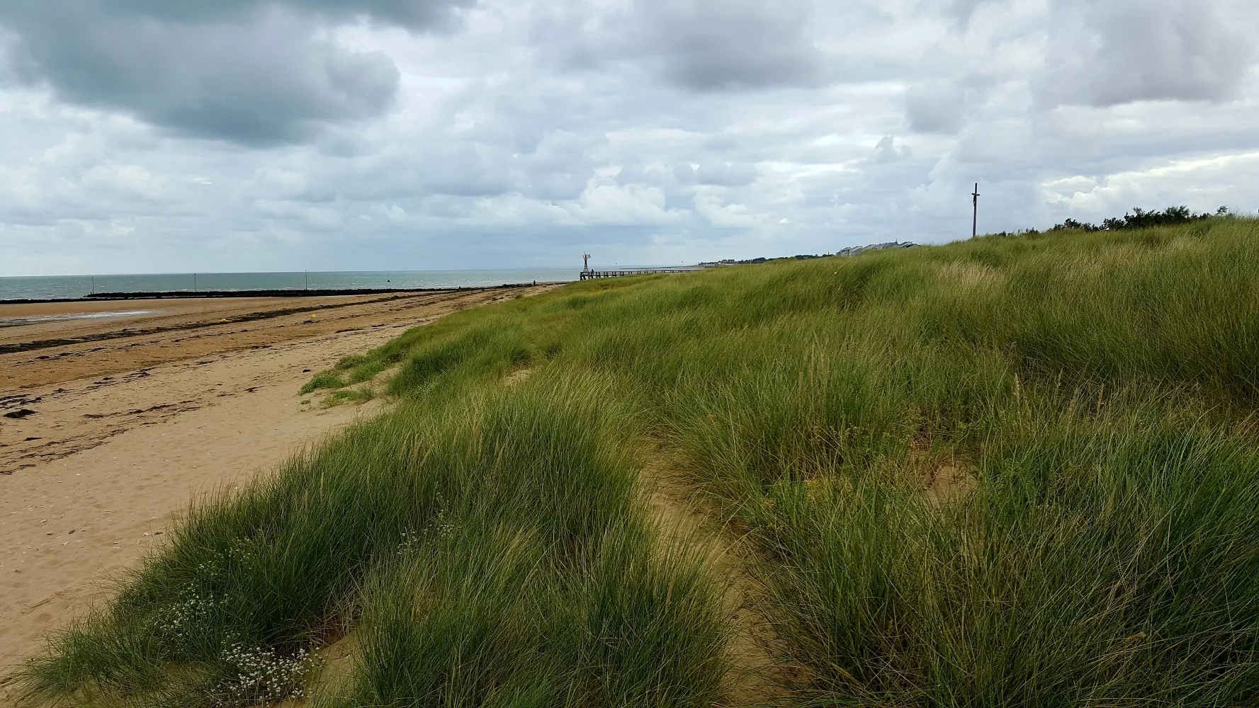 Entdeckungsreise durch die Normandie